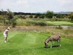 Golf tour south africa