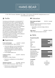 Resume Examples By Real People Front End Developer Resume Sample