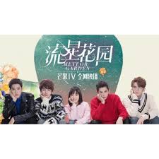 dvd drama china meteor garden 2018