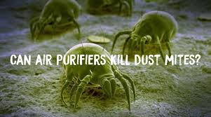 can air purifiers kill dust mites