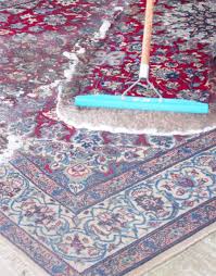 clean a persian rug