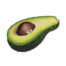 Draw a simple tonal image of a cut avocado using a soft pencil. Half A Fresh Green Seedless Avocado Stock Illustration Illustration Of Green Realistic 169438840
