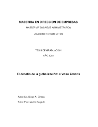 Tesis MBA Diego Dinsen. UTDT 2002. by Diego Dinsen - issuu