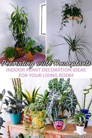 decorating with houseplants a beginner