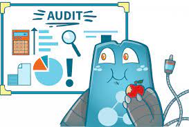 how to do internal link audit optimize