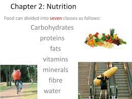 ppt chapter 2 nutrition powerpoint