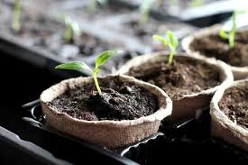 How To Plant An Indoor Herb Garden Diy