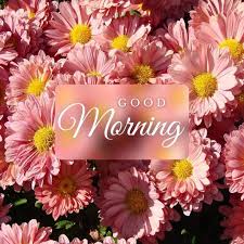 beautiful good morning flower images
