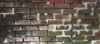 Can You Damp Proof A Single Brick Wall