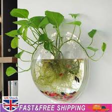 Wall Hanging Plant Bowl Viewable Fish