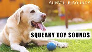 squeaky dog toy annoying sounds with