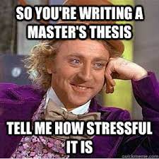 So you're writing a master's thesis tell me how stressful it is - willie  wonka spanish tell me more meme - quickmeme