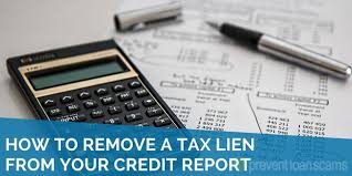 A lien is usually a formal document signed by the party to whom money is owed and sometimes by the debtor who agrees to the amount due. How To Remove Tax Liens From Your Credit Report Updated For 2021