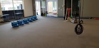 commercial carpet cleaning alpine