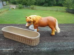 shetland pony with hay trough and