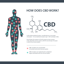 how does cbd work white information