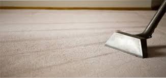 babysoft carpet cleaning