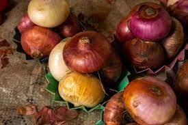 The FDA announced the recall of onions ...