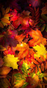 phone fall herbst autumn leaves fall