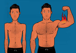 muscle building for skinny guys