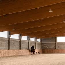 Horse Related Design And Architecture