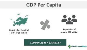gdp per capita definition formula