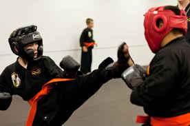 Image result for kenpo
