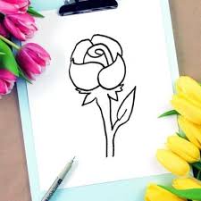 I have simplified the instructions so that even a beginner could create a successful drawing. Rose Drawing How To Draw A Rose Step By Step For Beginners