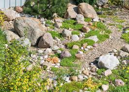 15 rock garden ideas transforming