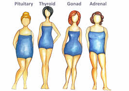 Urshadybff Tricks To Beat The Odds For Your Body Type