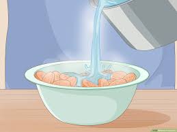Dry ice will let all of the water in the food evaporate much quicker than in a freezer. 5 Ways To Freeze Dry Wikihow Life
