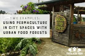 urban food forests