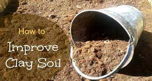 Improving Clay Soil Better Garden Soil