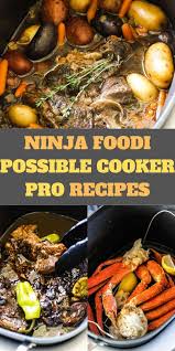 ninja foodi possible cooker pro recipes