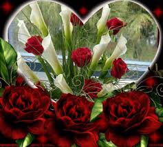 40 breathtaking heart shaped wallpapers designcoral. Facebook Beautiful Roses Flowers Beautiful Flowers