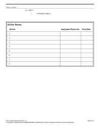 Action Meeting Minutes Template