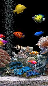 Fish 3d Live Wallpaper posted by ...