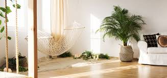Las plantas colgantes le dan una vida muy diferente a una estancia, ya sea dentro de la casa como. Decoracion Con Plantas De Interior Servei Estacio