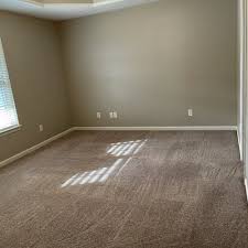 the best 10 carpet cleaning in little