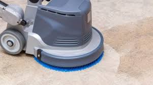 professional carpet cleaning service st