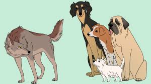 the origin of dogs when where and