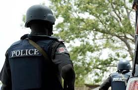Image result for Lagos police
