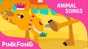 In actual fact he also had some maracas, but he hadn't told us about that. Humpy Lumpy Camel Camel Animal Songs Pinkfong Songs For Children Youtube