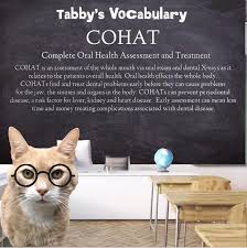 Get reviews, hours, directions, coupons and more for community pet hospital at 6552 summer ave, memphis, tn 38134. Tuesday S Are For Tabby S Vocabulary Community Vet Hospital Facebook