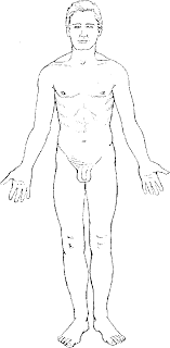Wear down in relation to, it is held well. Anatomical Position Diagram