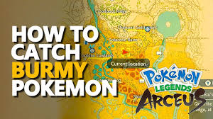 Pokémon Legends: Arceus - Which Is The Real Burmy? Request Guide