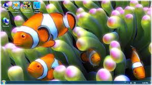 clownfish aquarium live wallpaper