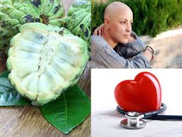 What's the malayalam word for apple? à´¸ à´µ à´¦ à´¨ à´± à´•à´²à´µà´±à´¯ à´® à´¯ à´†à´¯ à´¸ à´¸ à´¨ à´± à´«à´² Amazing Benefits And Uses Of Custard Apple Malayalam Boldsky