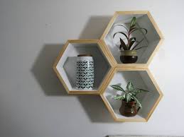 Deeper Hexagon Shelves White Inside