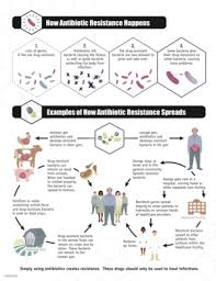 Antimicrobial Resistance Wikipedia
